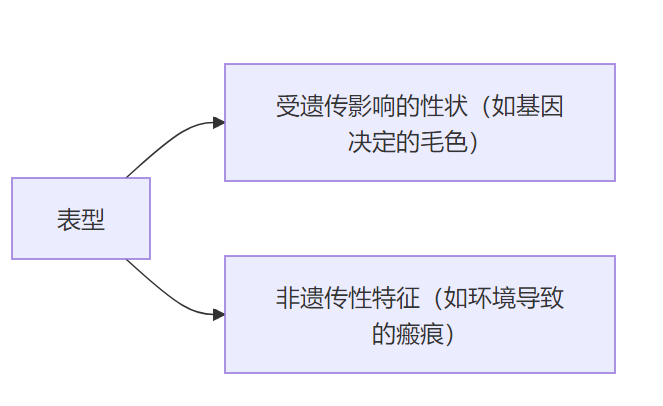 “性状“与“表型“的区别-CSDN博客