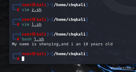 shell编程9 重定向操作和不同脚本的互相调用 (泷羽sec)-CSDN博客
