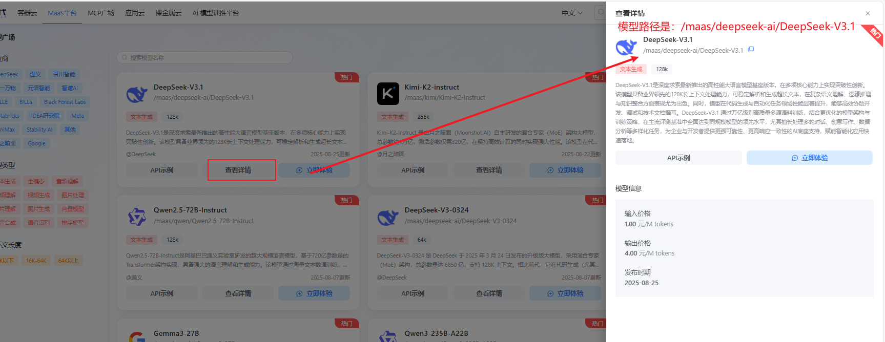 模型详情页面