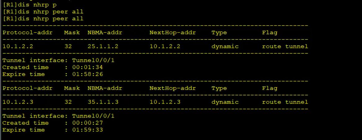 MGRE and NHRP configuration result