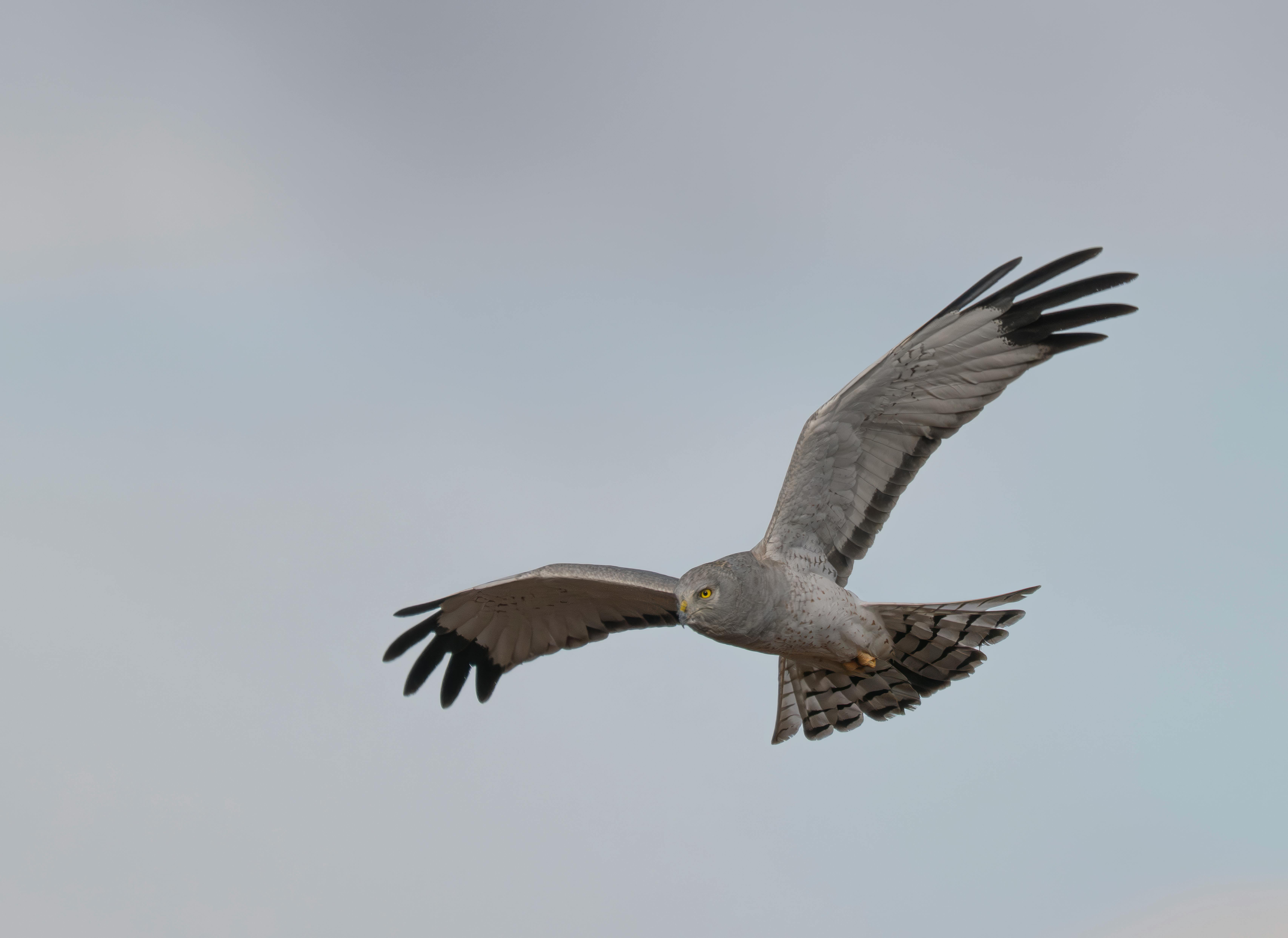 操作系统概念（Operating System Concepts）学习笔记chapter1 Introduction_operation system  concept-CSDN博客