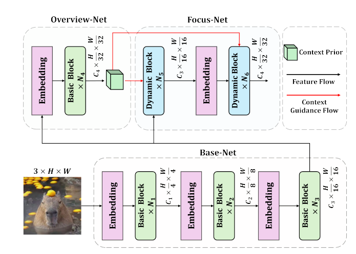 The architecture of our OverLoCK network.