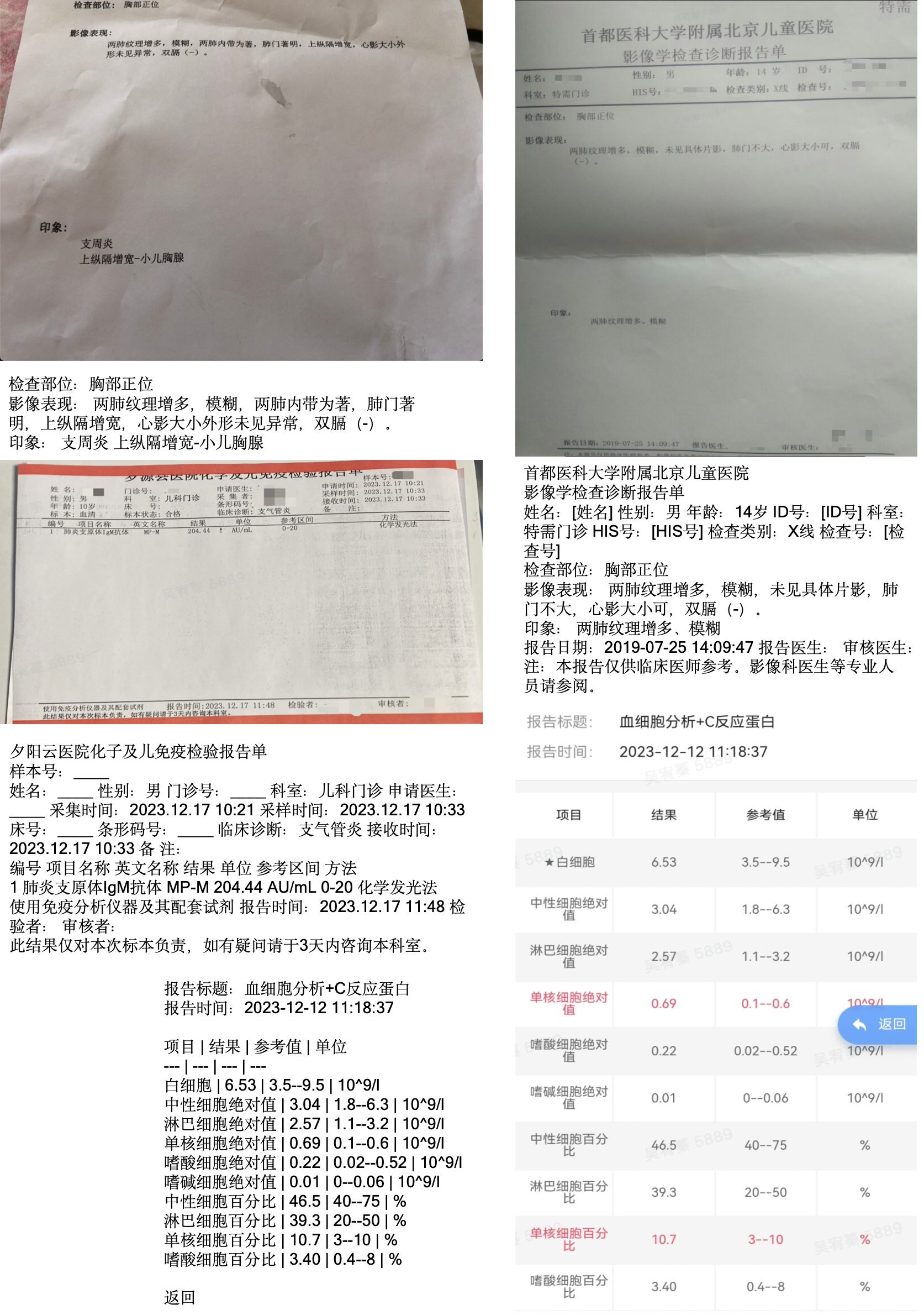 医学报告识别示例