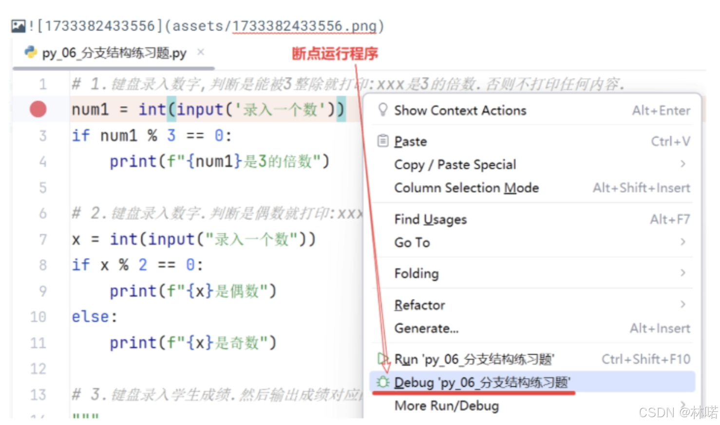 从0学python(第二天)_python用于如果运算结果为真,返回的是-CSDN博客