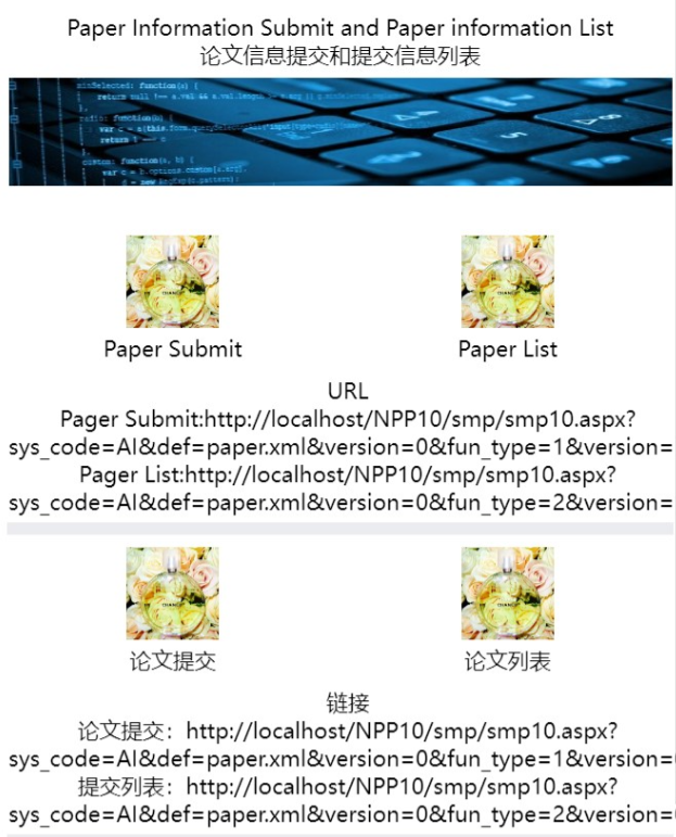 论文信息提交（中英文混合版）