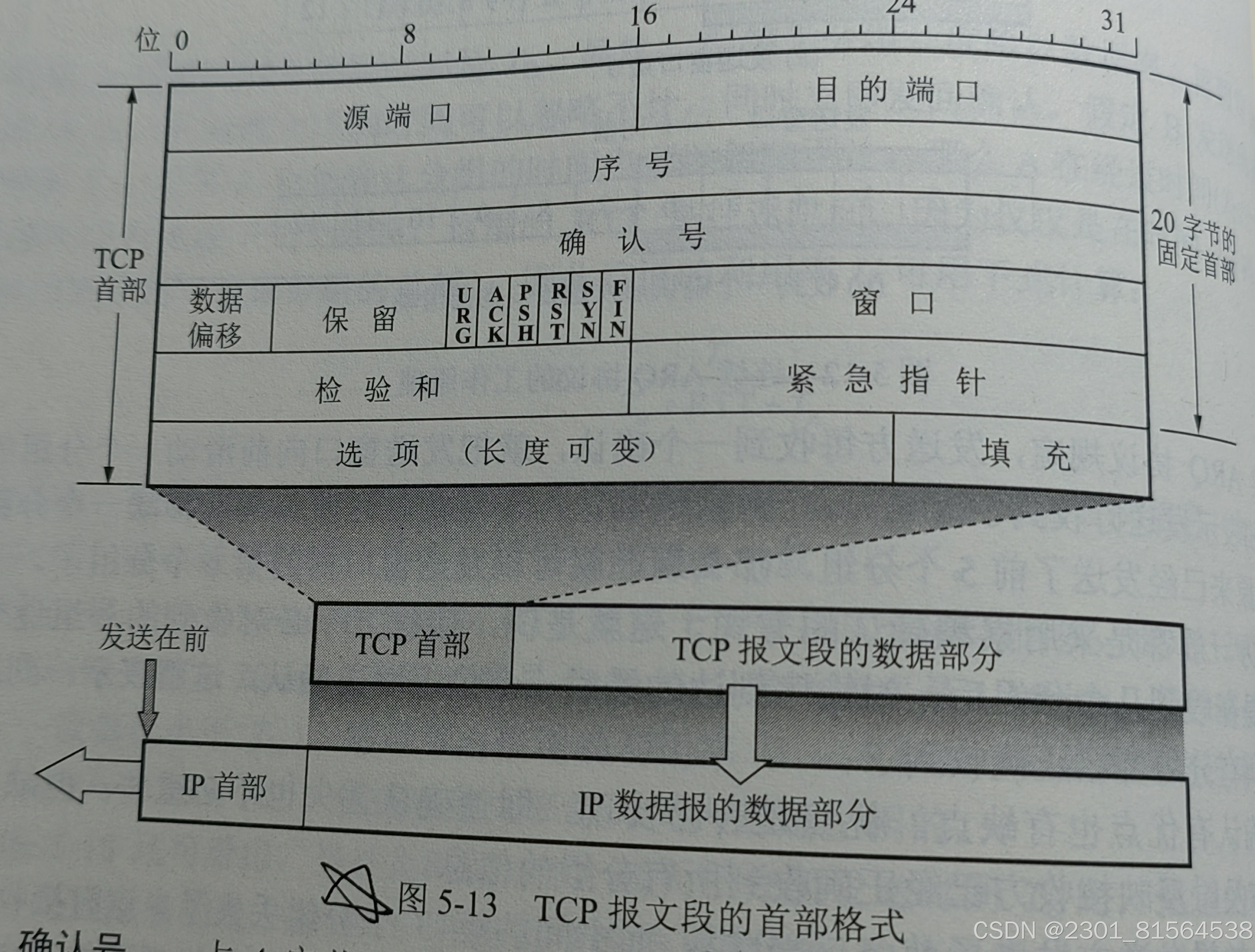 在这里插入图片描述