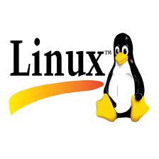 【Linux知识】Linux Service 重启策略 Restart 详解_restartpreventexitstatus-CSDN博客