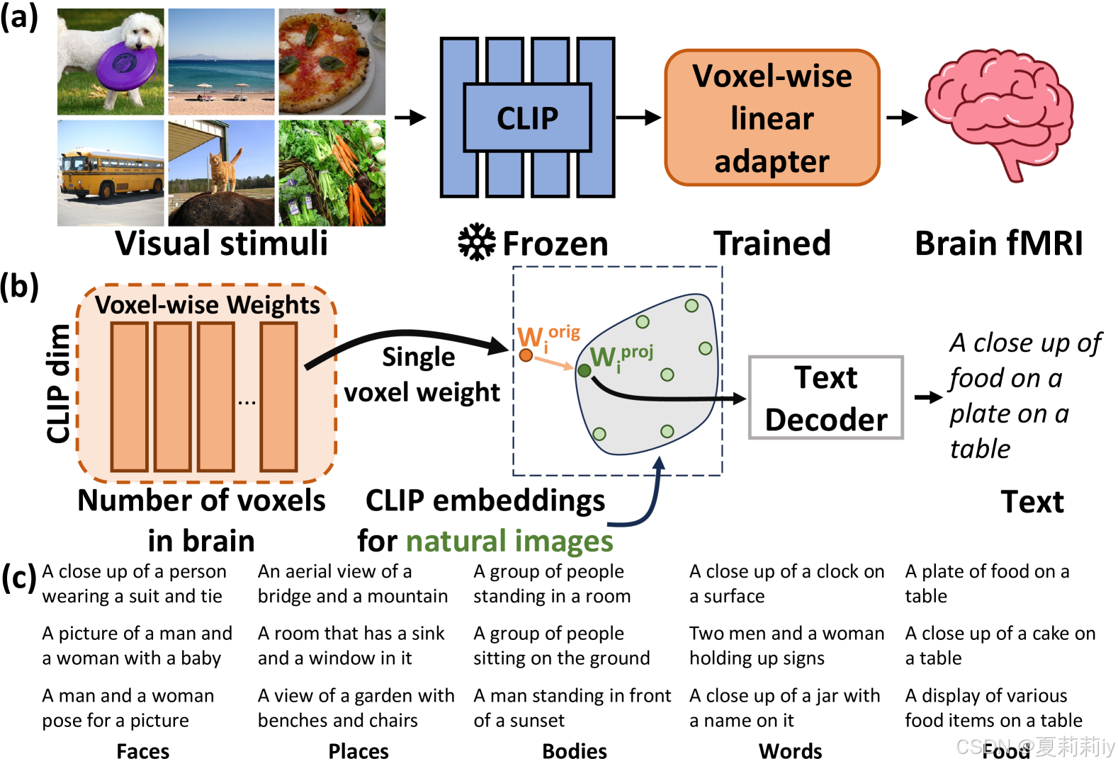 [ICLR 2024]BrainSCUBA: Fine-Grained Natural Language Captions of Visual ...