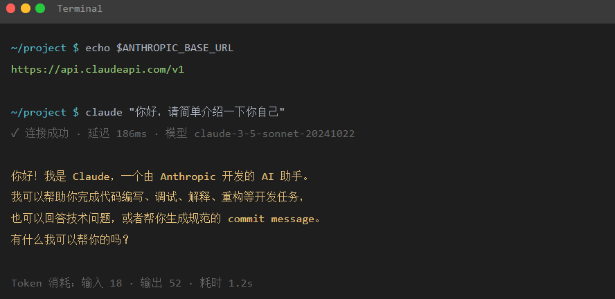 > **[图5]** 验证配置成功的终端模拟示意图