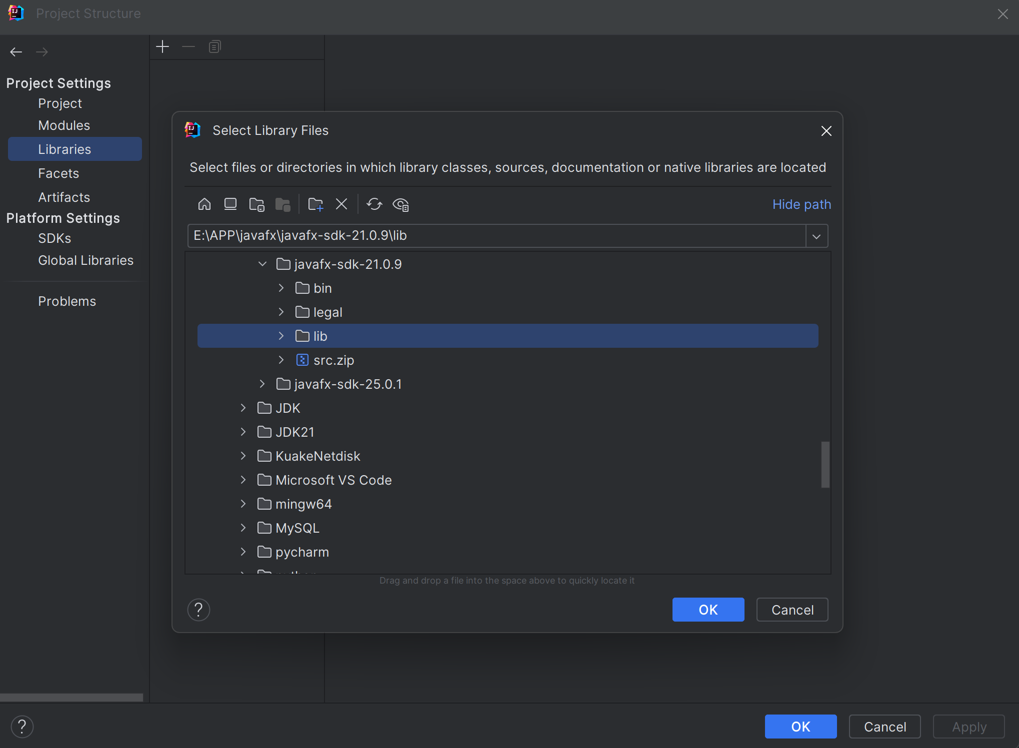 在IntelliJ IDEA上配置javaFX环境_idea配置javafx-CSDN博客