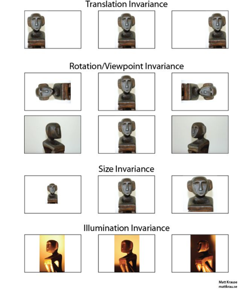 CNN可以准确识别特征