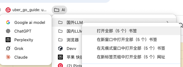 Chrome浏览器对国内/外及浏览器的网站进行分类