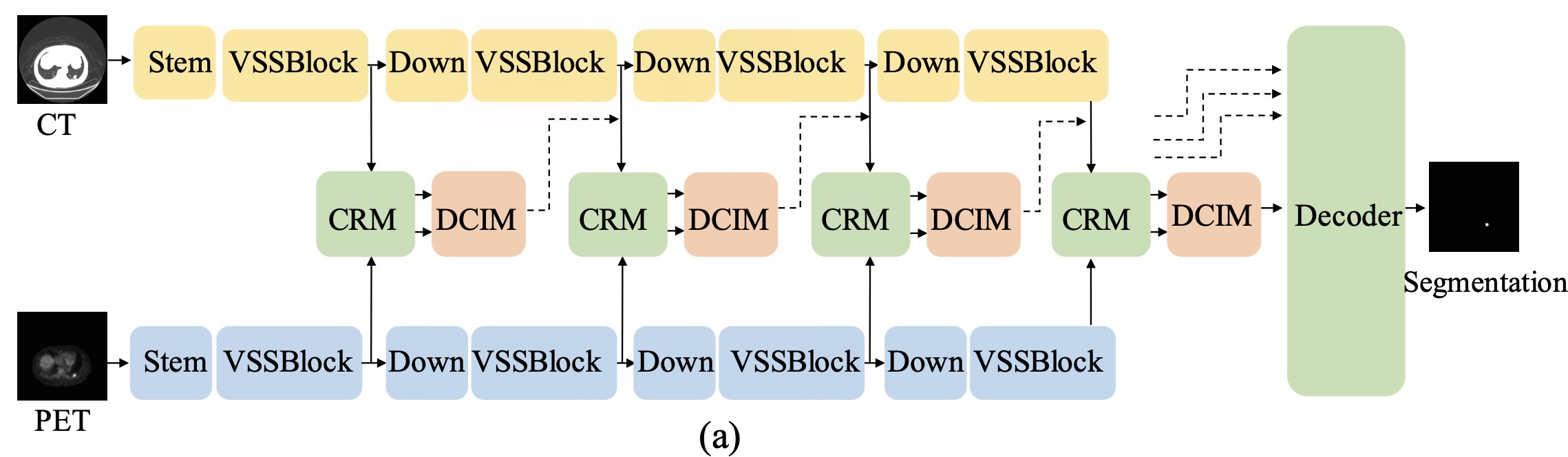 基于 Mamba 的跨模态交互式感知网络（CIPA）用于 PET-CT 图像中肺肿瘤分割的整体架构