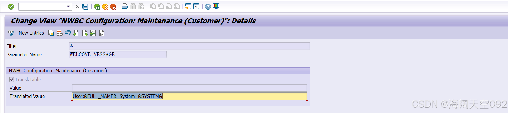 SAP NWBC WELCOME_MESSAGE
