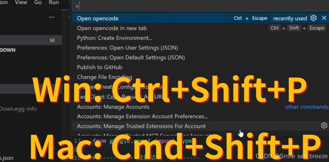 安装下载openCode 步骤和方法_opencode下载-CSDN博客