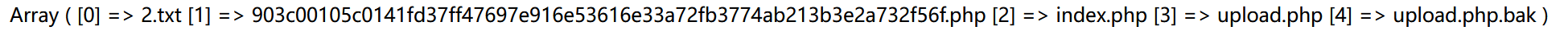 ctf.show web