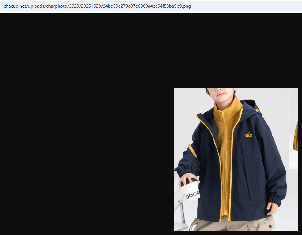 图片搜索商品列表API的应用场景和API调用示例实操（淘宝京东1688）