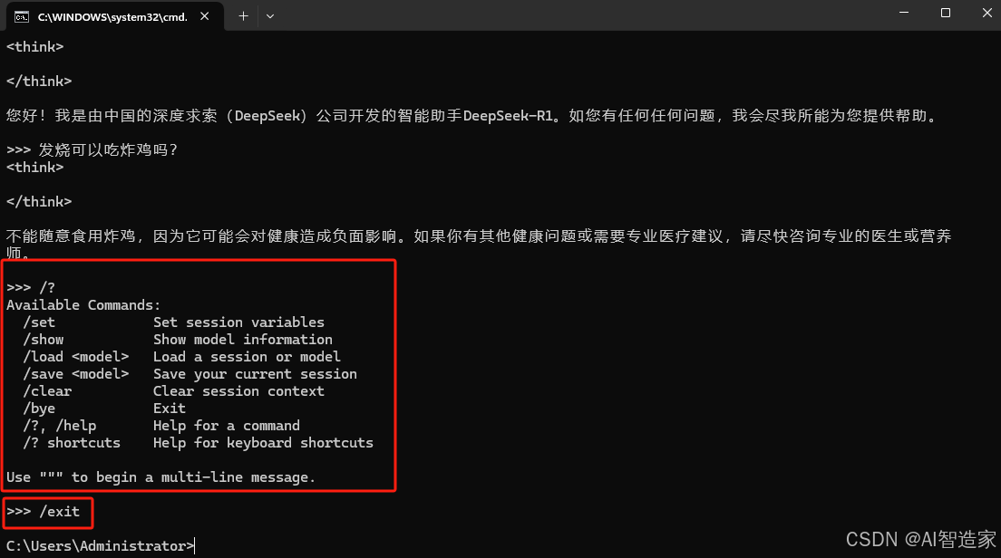 【保姆级教程】一篇文章搞定DeepSeek本地部署（Ollama+ChatBoxAI）插图29