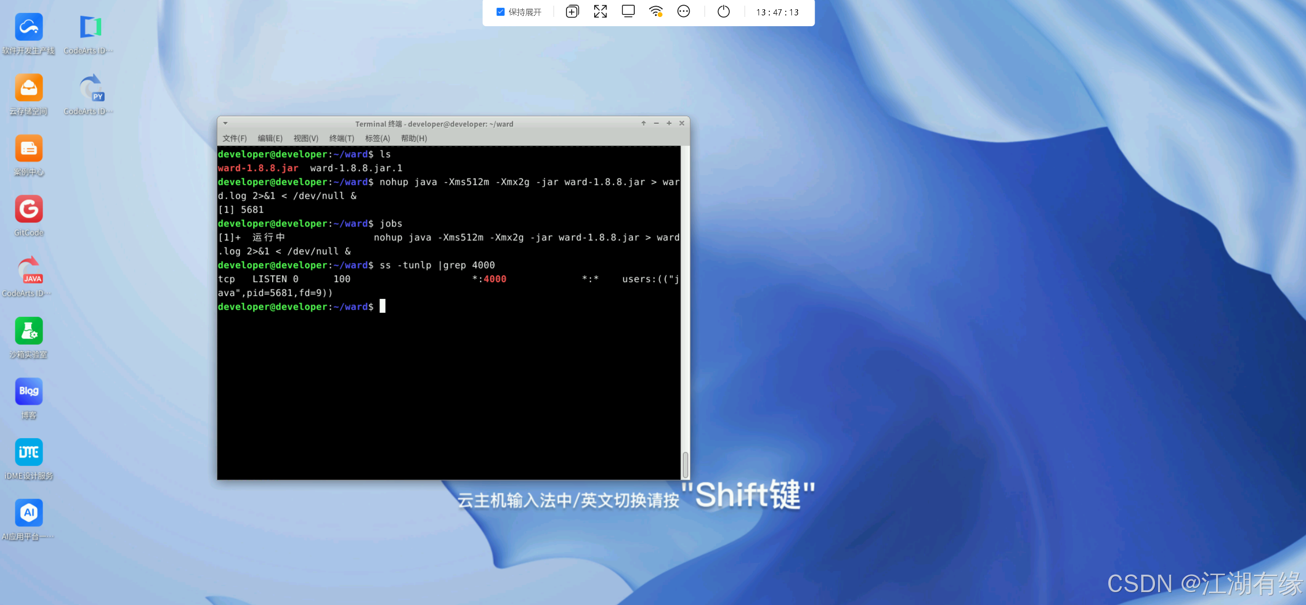 在这里插入图片描述