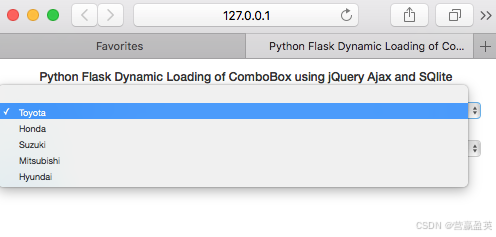 How to create two dependent dynamic dropdown lists using Flask-CSDN博客