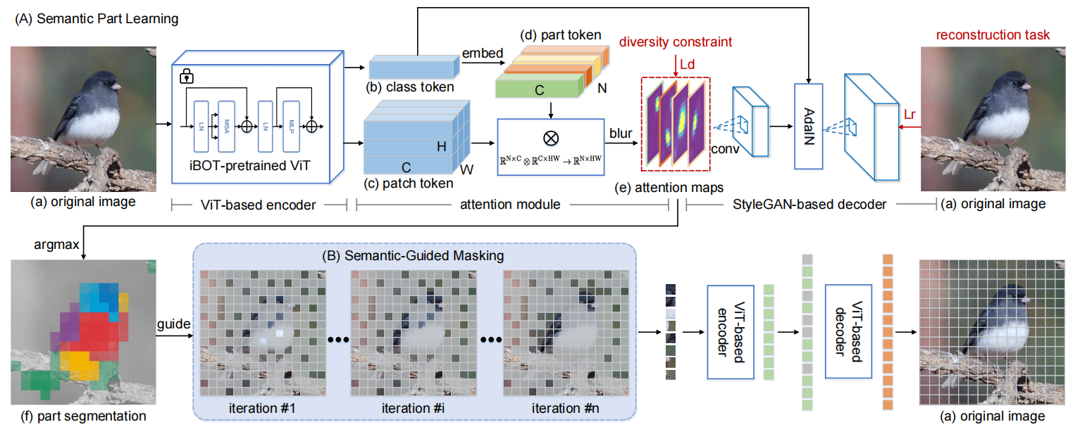 NeurIPS | 2022 | SemMAE: Semantic-Guided Masking for Learning Masked ...