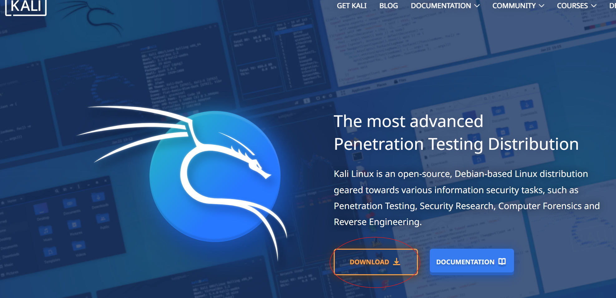 Kali Linux(2025版本)下载安装及配置(VMware虚拟机)操作教程(网安新手必看)_kali linux 2025.2 安装后必 ...