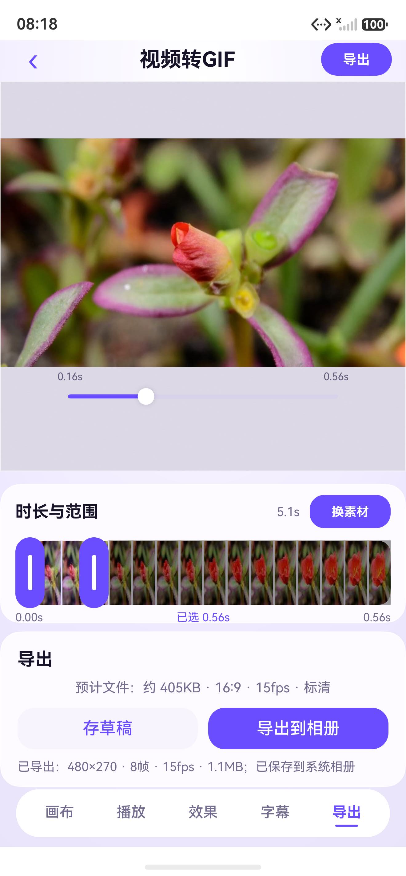 短片段真实导出结果