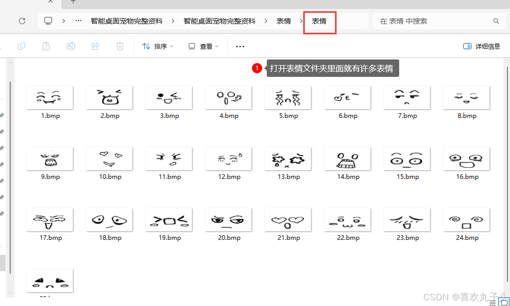 Sngels_wyh大佬的STM32智能桌面宠物修改表情教程_oled表情
