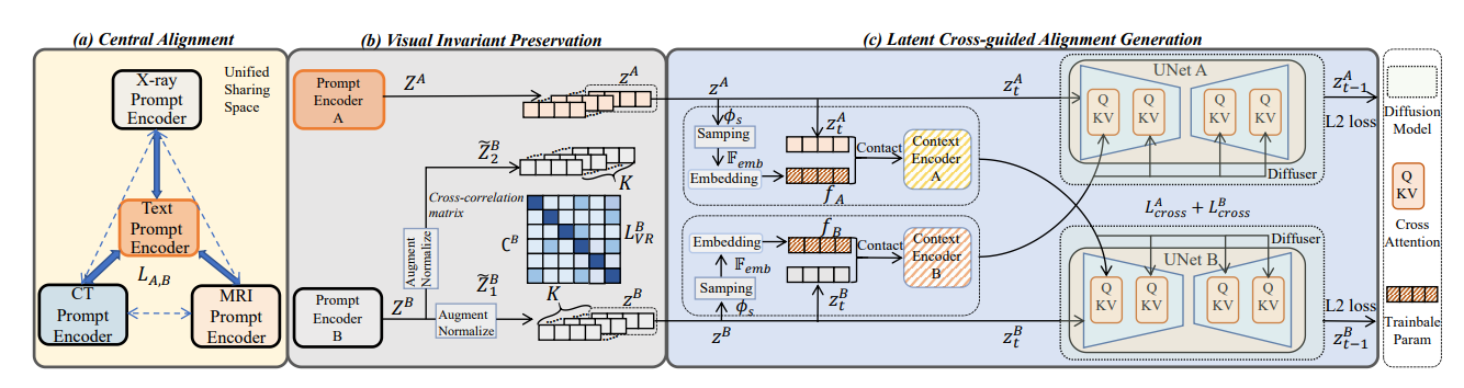 The network structure of MedM2G