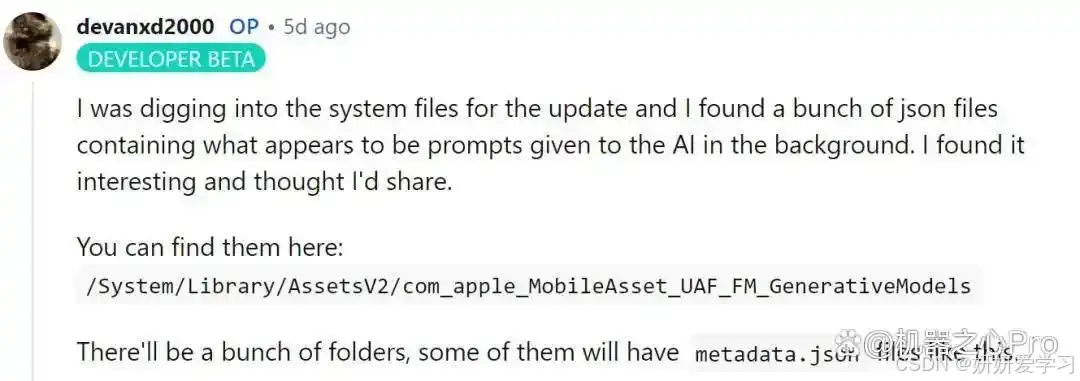 泄露的 AI 指令_JSON处理提示词_Apple Intelligence 提示词