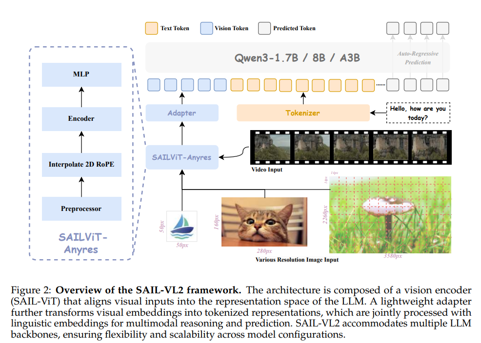 Overview of the SAIL-VL2 framework