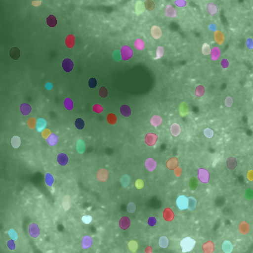 Cellpose-SAM-CSDN博客