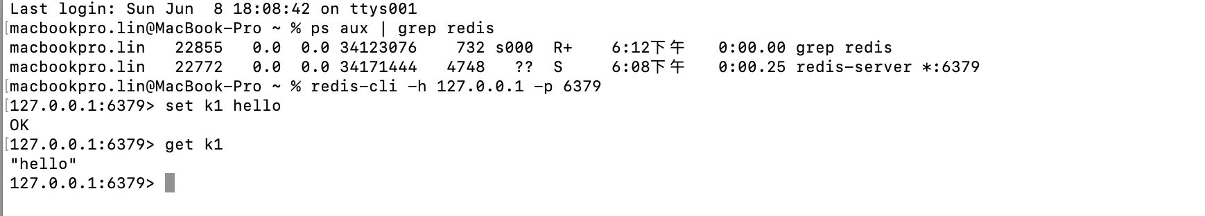 MacBook 苹果笔记本电脑安装redis保姆级教程（超详细带图文）_mac 安装redis