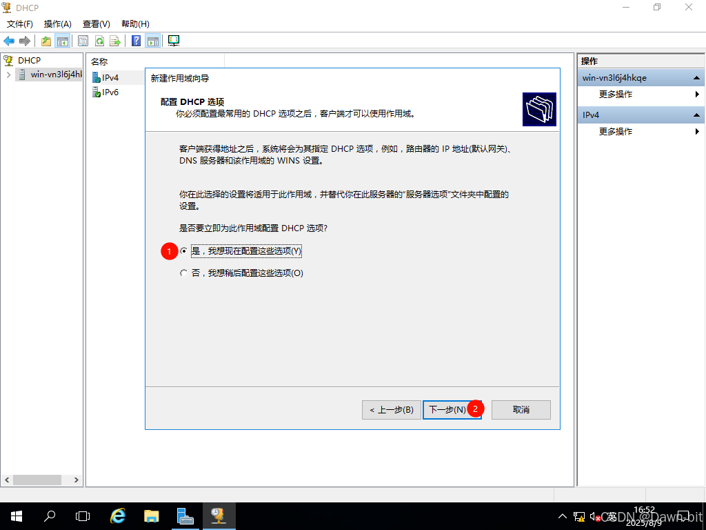 选择配置 DHCP 选项