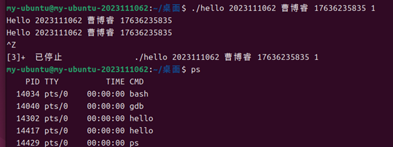 哈工大计统大作业 程序人生-Hello’s P2P