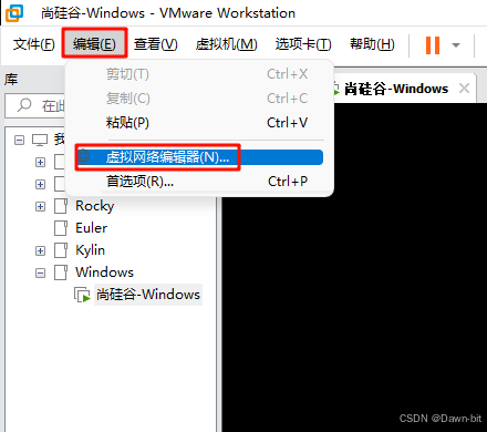 查看 VMware NAT 网络