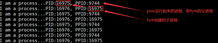 Linux 进程概念