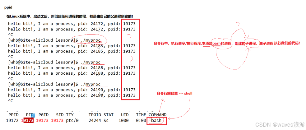 基本概念与基本操作(3)