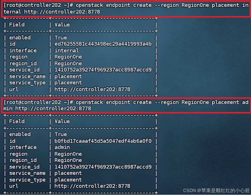 云计算实训（实验5、实验6）_nova api登录到host节点