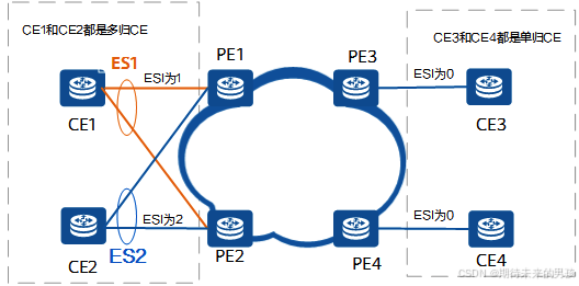 EVPN基本概念示意图