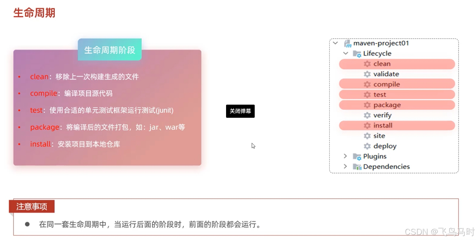 生命周期