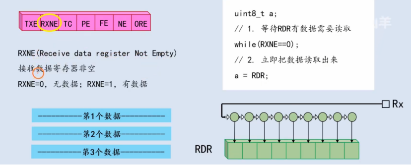【STM32】江科大STM32小白养成记