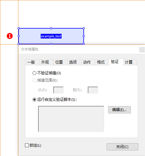 运行自定义验证脚本