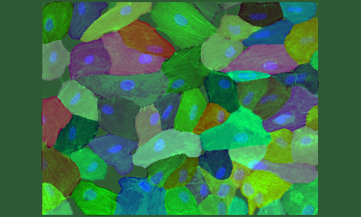 Cellpose-SAM-CSDN博客