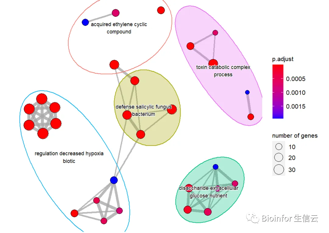 bulk RNA-Seq（8）富集分析_circle plot 富集分析-CSDN博客