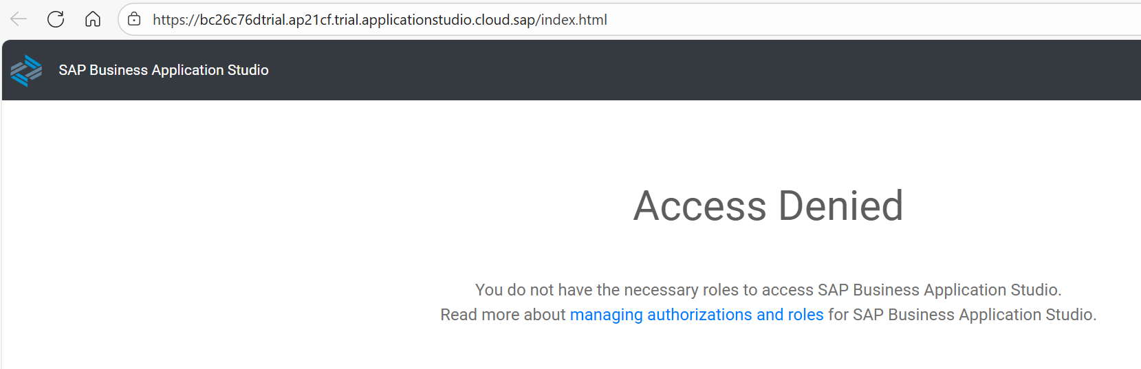 SAP 搭建BAS环境开发Fiori (胎级教程)_sap fiori开发教程-CSDN博客