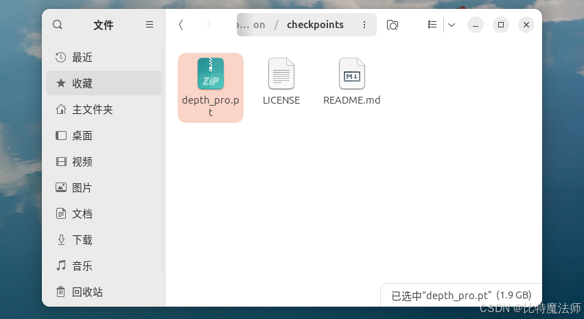 单目与双目深度估计新范式：Depth Pro 和 Foundation Stereo 实战指南_depthpro-CSDN博客