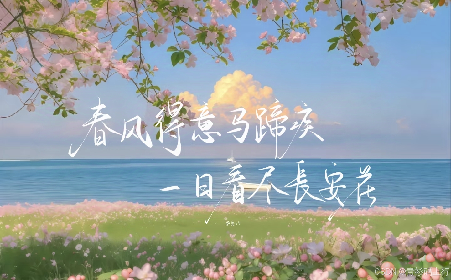 在這里插入圖片描述
