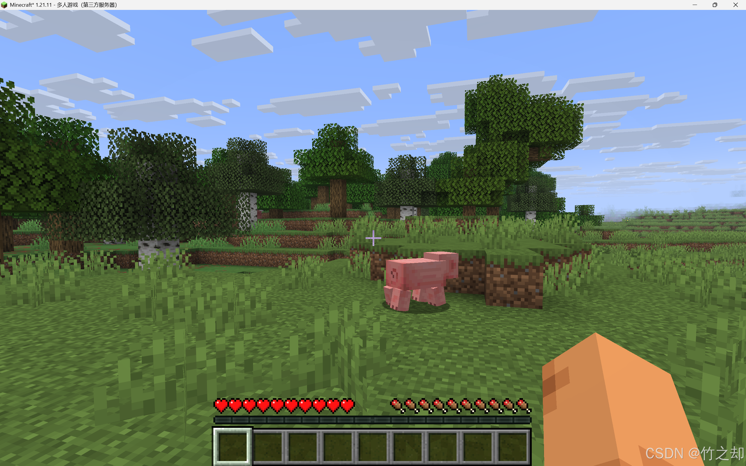 Minecraft开服，服务器搭建教程（插件服-paper-1.21.11）_mc overrides包怎么用-CSDN博客